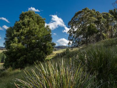 20 Blanchard Road, Glen Huon