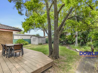 7 Kindlebark Drive, Medowie