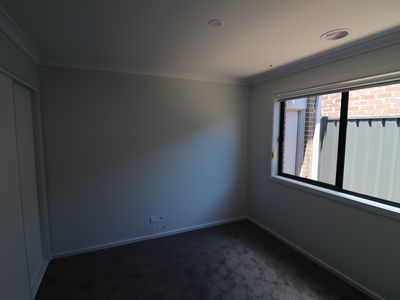 7 Pony Promenade, Seymour