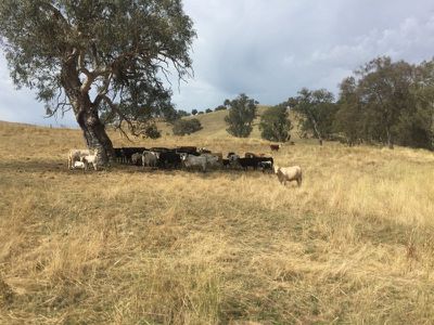 . Sandy Creek Road, Sandy Creek
