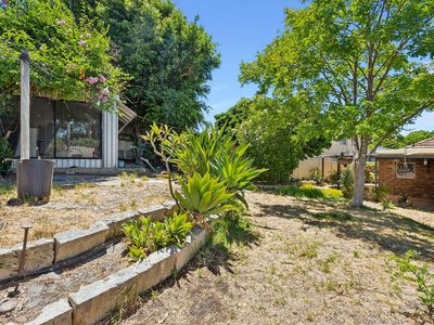 28 Dorothy Street, Ashfield