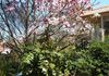 28 Maple Avenue, Orange