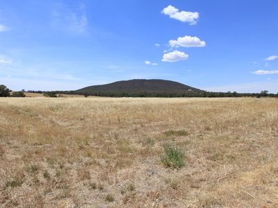 76 Trellis Drive, Heathcote