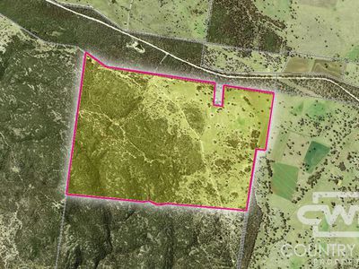 Lot 1, - Emmaville Rd, Emmaville