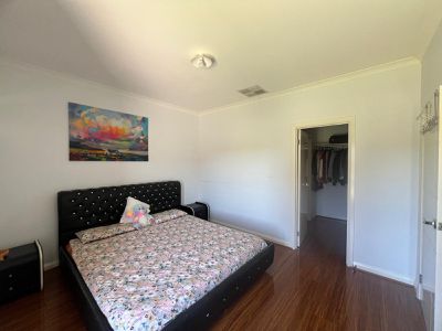 24 Ballantine Street, Tarneit