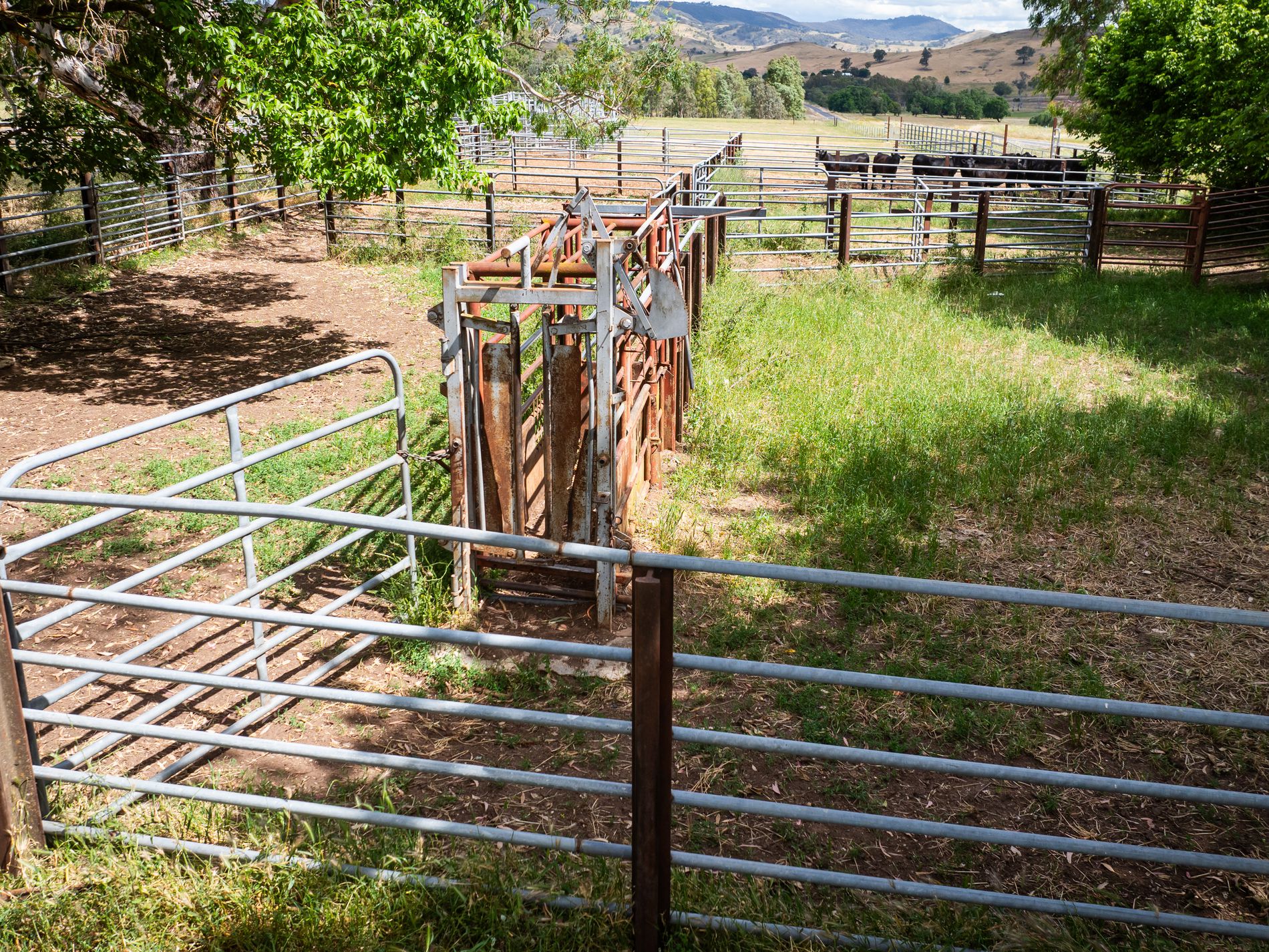 4118 Murray River Road, Thologolong