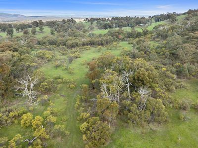 110 Daisyburn Road, Hilldene
