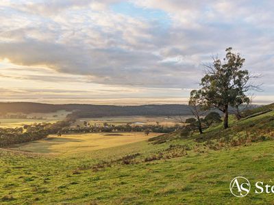 260 & 310 Mt William Road, Goldie
