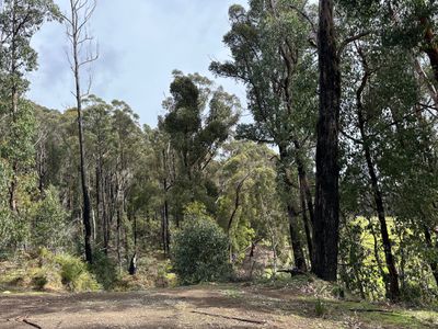 Lot 1, Sunny Hills Road, Glen Huon