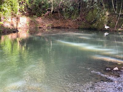 573 Blue Knob Road, Nimbin
