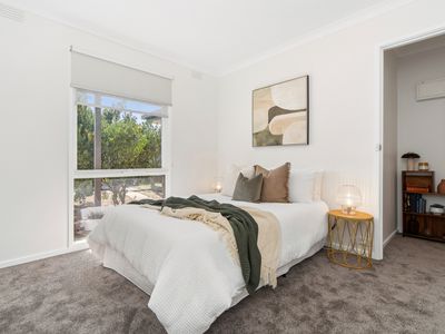 2 / 3 Arthur Street, Hastings