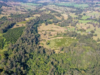 1740  Nimbin Road, Koonorigan