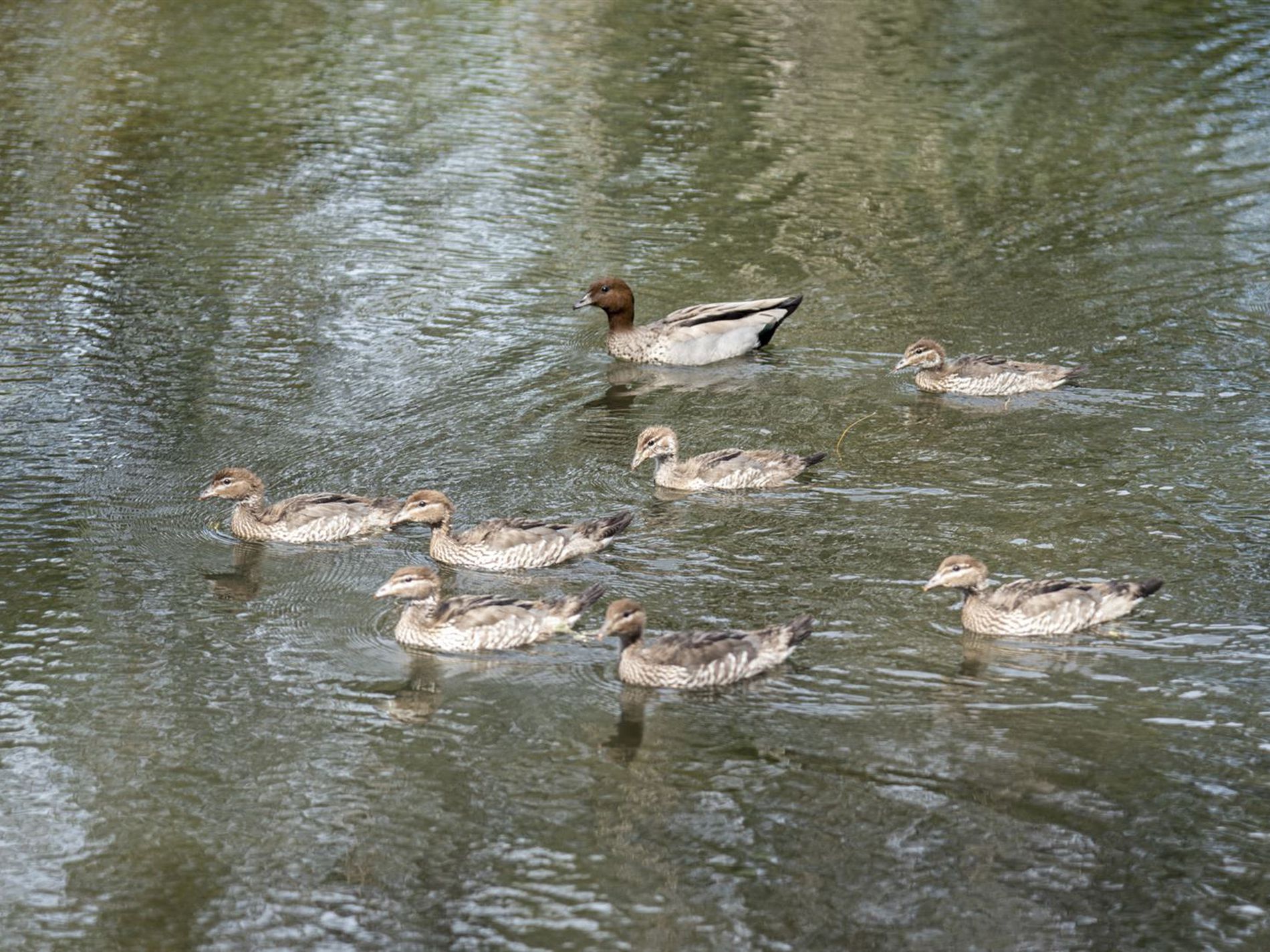 100 Lake Conjola Entrance Road, Lake Conjola