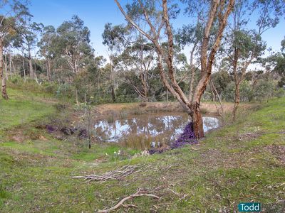 54 Heathcote-Nagambie Road, Heathcote