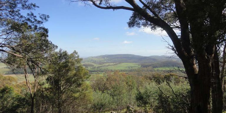 Harrys Creek Road, Strathbogie