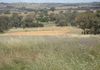 Lot 101, 2187 Euchareena Road, Molong