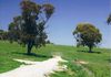 Lot 4 Reyfield Drive, Orange