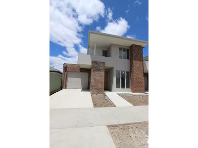 41 Willana Avenue, Hamlyn Heights