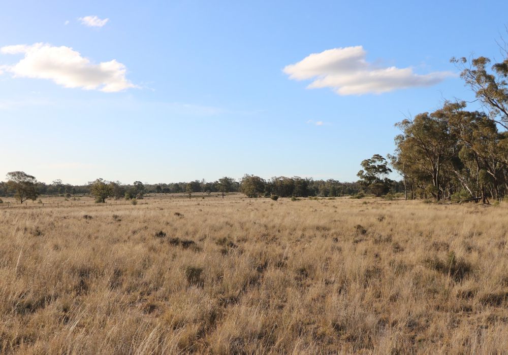 Back Trundle Road, Parkes