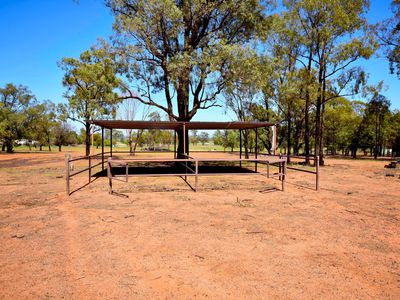 6L Terra Drive, Dubbo