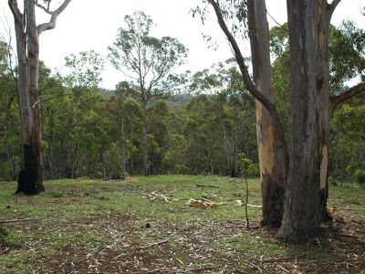 L241 Florabunda Lane, Nethercote