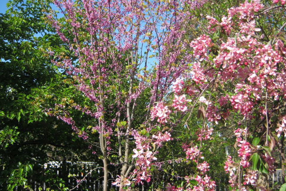 Mount Compass CE Property Group