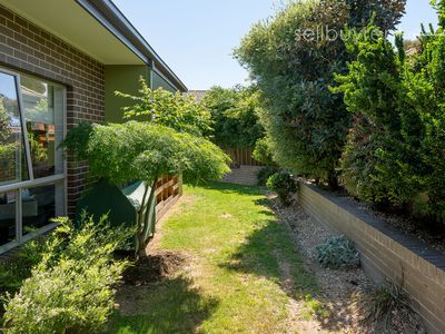 20 STANGER COURT, Wodonga