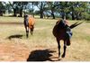 1665 Cargo Road, Lidster