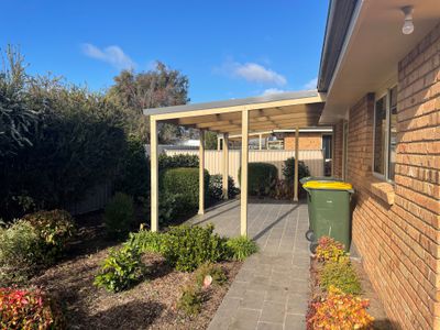 Wynyard