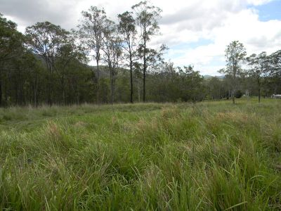 22 Mitchell Creek Road, Kandanga Creek
