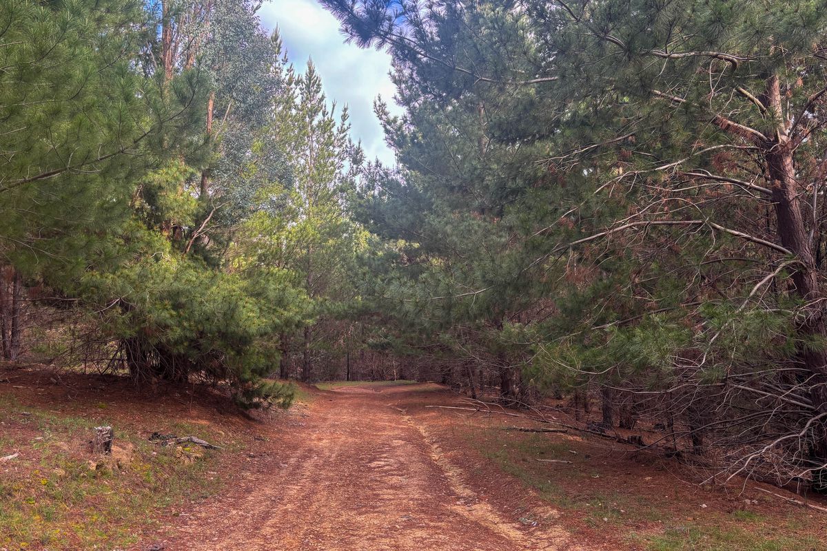 259 Hells Hole Creek Road, Bonnie Doon