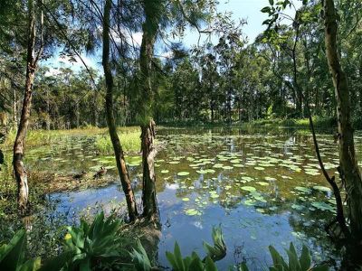 18 Lomandra Pl, Tewantin