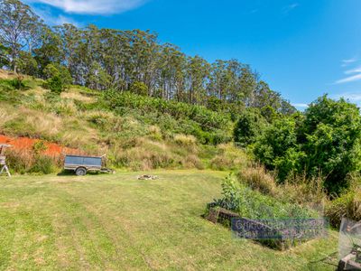 134 Snake Gully Road, Upper Burringbar