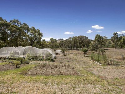 762 Spring Flat Road, Heathcote