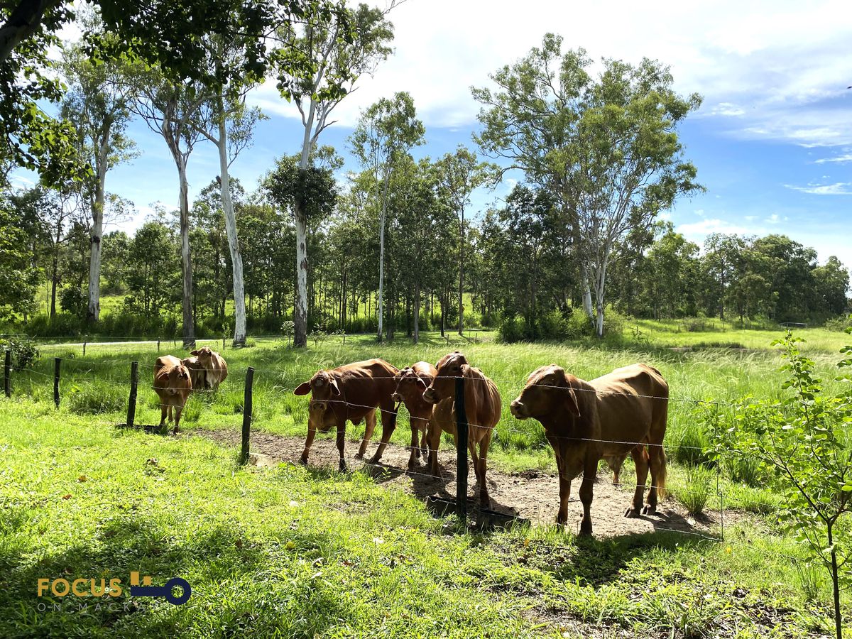 114 East Funnel Creek Road, Sarina Range