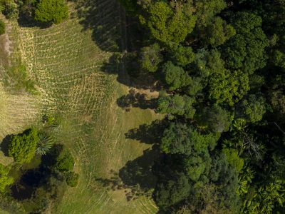 501 Mount Warning Road, Mount Warning