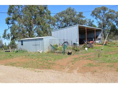1817 Wandobah Road, Gunnedah
