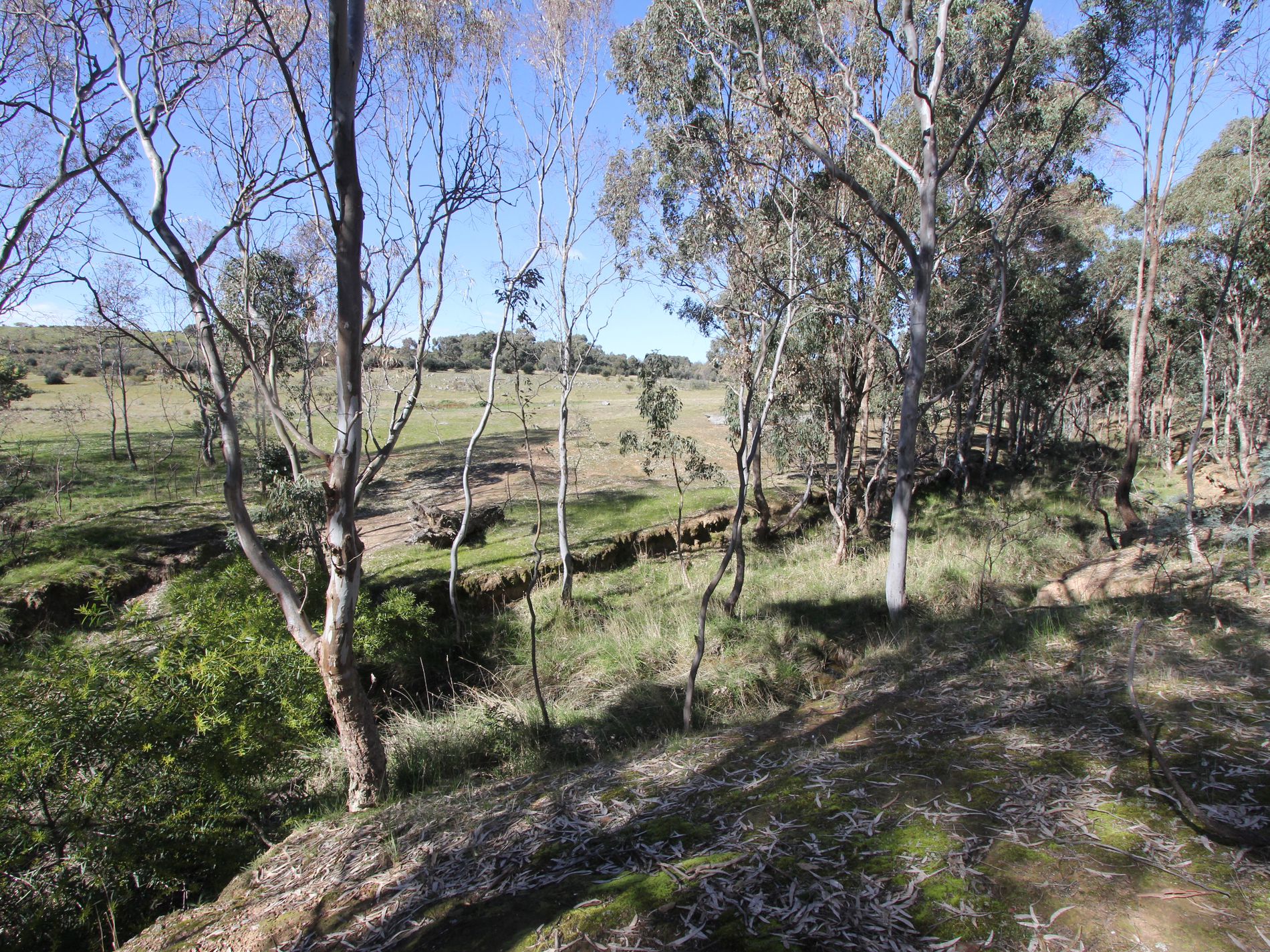 Barry Lane, Tooborac