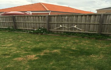 25 Inkerman Street, Berwick