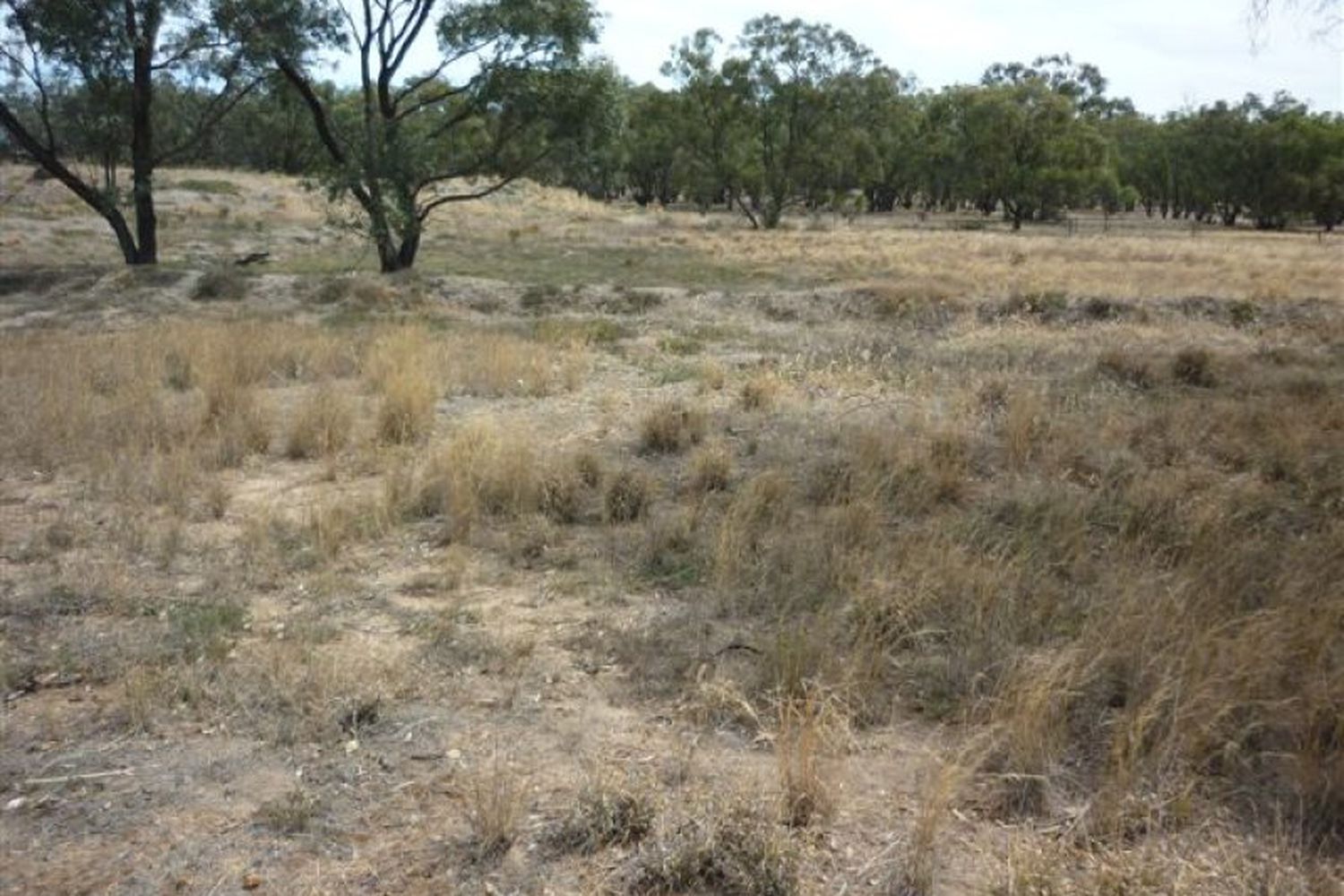 Lot 2 Brikkle Road, Brim