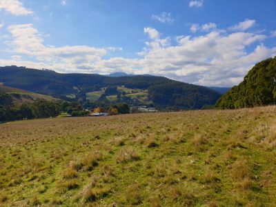 Lot 5 Wallace Road , Cygnet