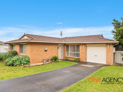 29 Daintree Drive, Albion Park