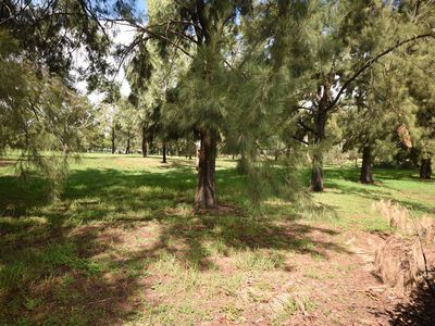 16 Hillcrest Place, Dubbo