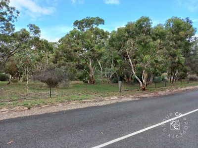 Cockatoo Valley