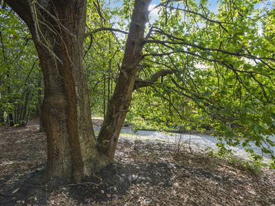 396 Black Forest Drive, Macedon