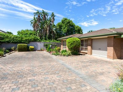 6 / 15A Doreen Street, Oaklands Park