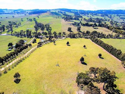 310 Curly Dick Road, Meadow Flat