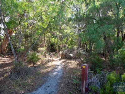 2 / 1 Maraveen Place, Ocean Beach