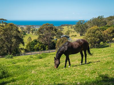 58 Sherringham Lane, Central Tilba