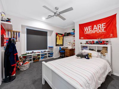 17 Eucalypt Street, Wakerley